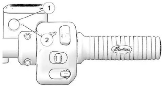 1 2 Forkhead