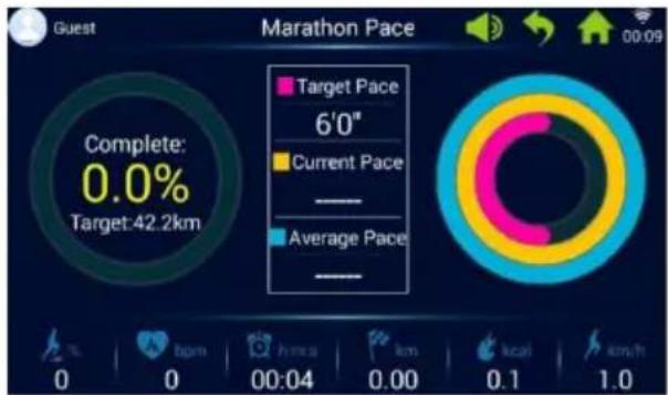 Inshape 17519 - Eksempel på hastighedsprogram (maraton) - 2