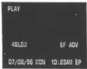 PLAY 4SLOW 6F ADV 07/08/96 MON 10:23AM EP