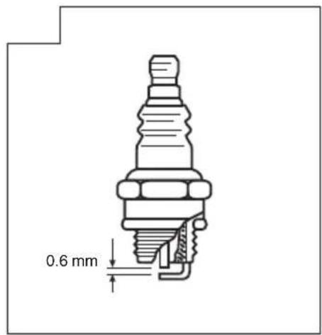 0.6 mm