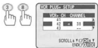 VCR PLUS+ SETUP VCR+ CH CHANNEL 41 42 + 38 43 -- SCROLL & OFF ENDO/FLICE