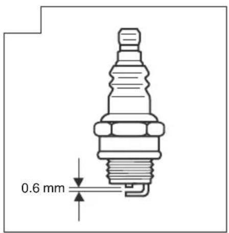 0.6 mm