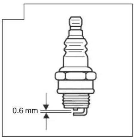 0.6 mm
