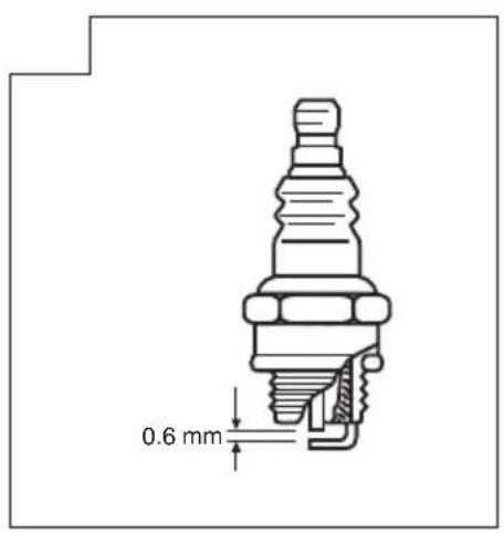 0.6 mm