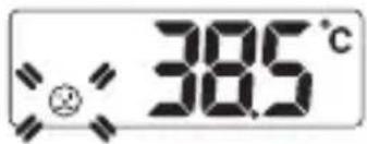 385°C