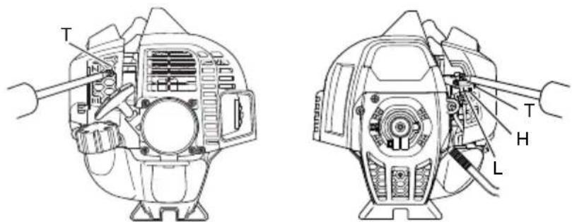 Technical diagram of a motor assembly with labeled parts including T, H, L, and internal components