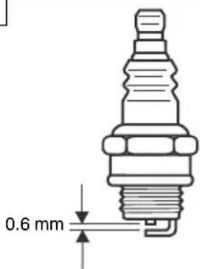 0.6 mm