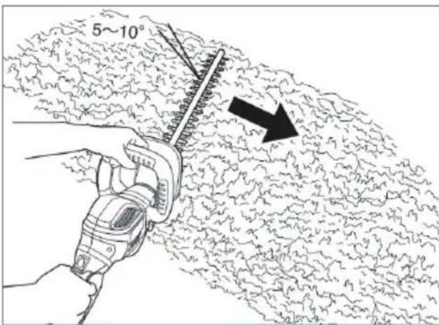 5~10°