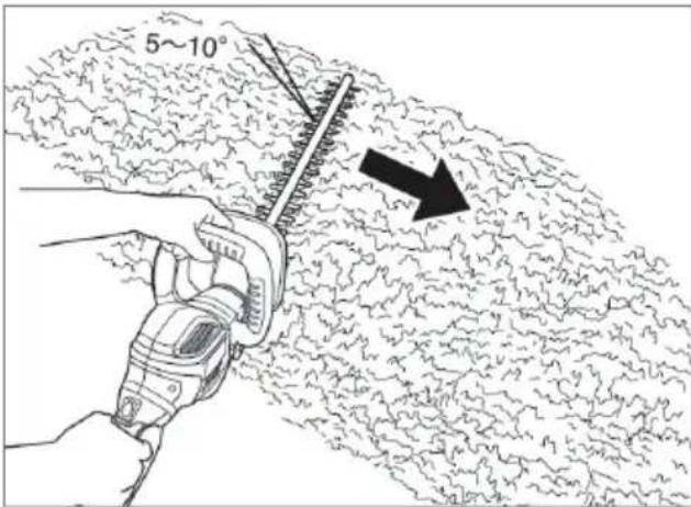 5~10°