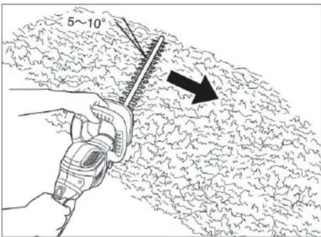 5~10°