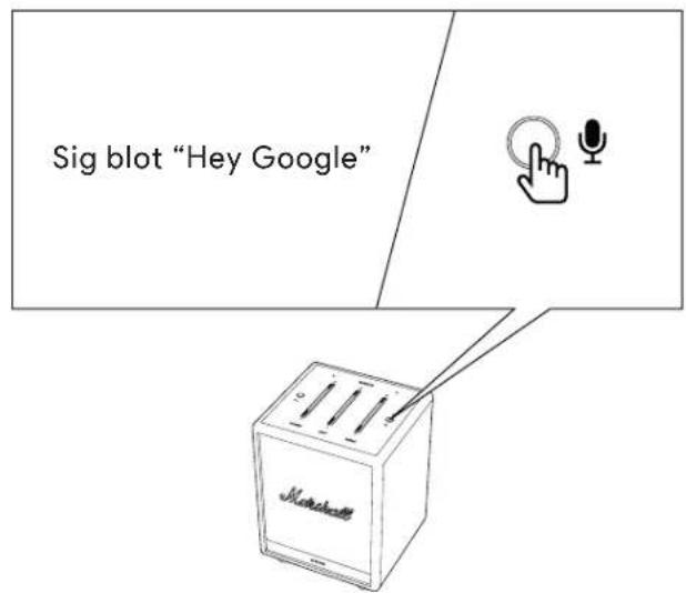 Sig blot "Hey Google" Microsoft