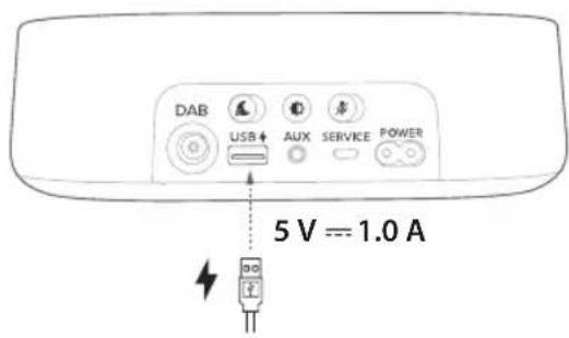 DAB USB+ AUX SERVICE POWER 5 V == 1.0 A