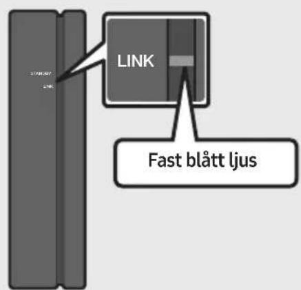 LINK FAST BLÄTT ljus