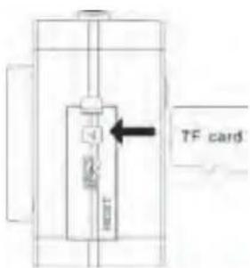 TF card