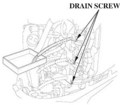 DRAIN SCREW