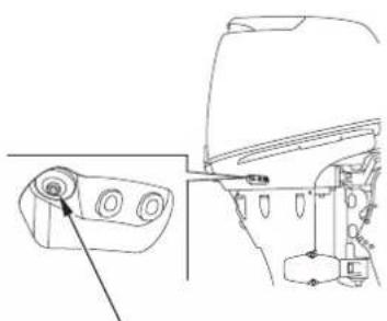 Honda BF30D - OVERHEAT INDICATOR LIGHT COMES ON AND ENGINE SPEED IS LIMITED - 3