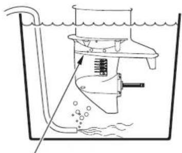 Honda BF30D - Flushing Without the Honda Garden Hose Adapter - 1