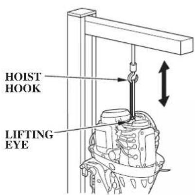 HOIST HOOK LIFTING EYE