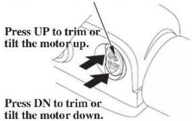 Press UP to trim or tilt the motor up. Press DN to trim or tilt the motor down.