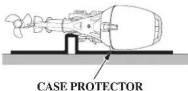 CASE PROTECTOR
