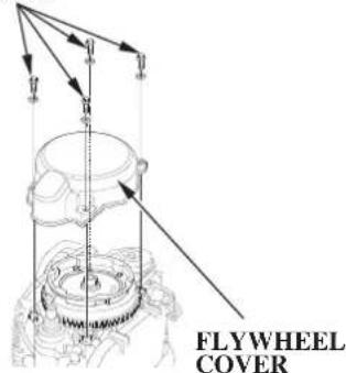 FLYWHEEL COVER