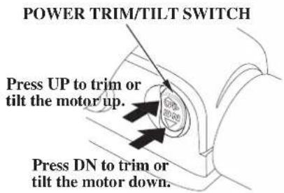 POWER TRIM/TILT SWITCH Press UP to trim or tilt the motor up. Press DN to trim or tilt the motor down.