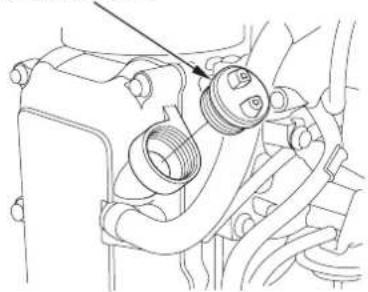Honda BF30D - Engine Oil Level Check - 2
