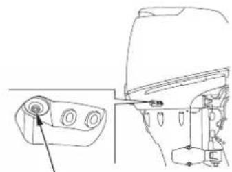 Honda BF30D - Overheat Indicator Cooling System Indicatone overheats, the red light - 3