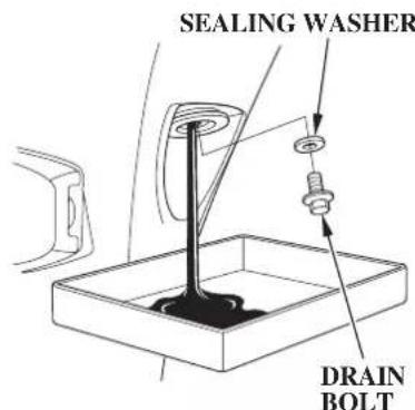SEALING WASHER DRAIN BOLT