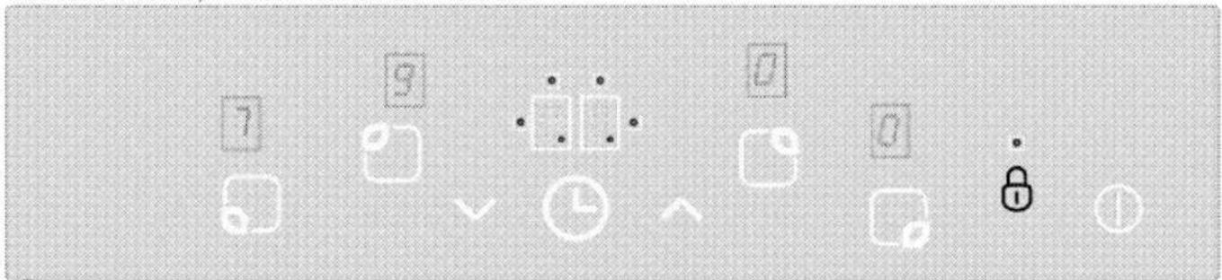 Screenshot of a software toolbar with icons for zoom, lock, and time control functions