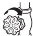 GE GTE16DTNLWW - FLUSH OUT THE TUBING - 1