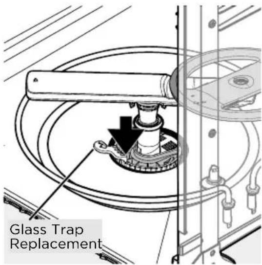 Glass Trap Replacement