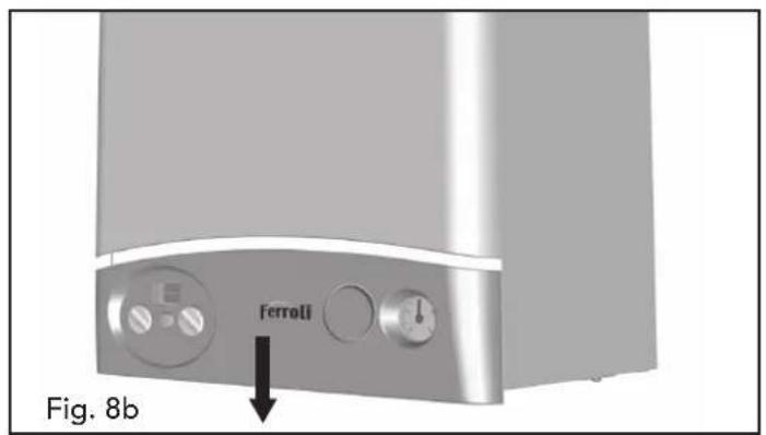 Ferroli Fig. 8b