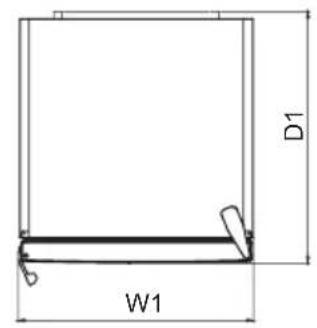 D1 W1