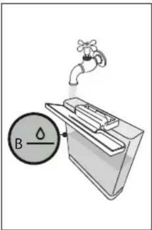 B
