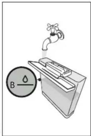 B