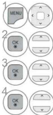 1 MENU 2 OK 3 OK 4