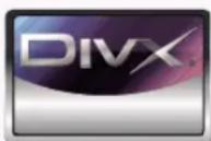 LG HS200G - Forholdsregler ved afspilning af DivX - 1