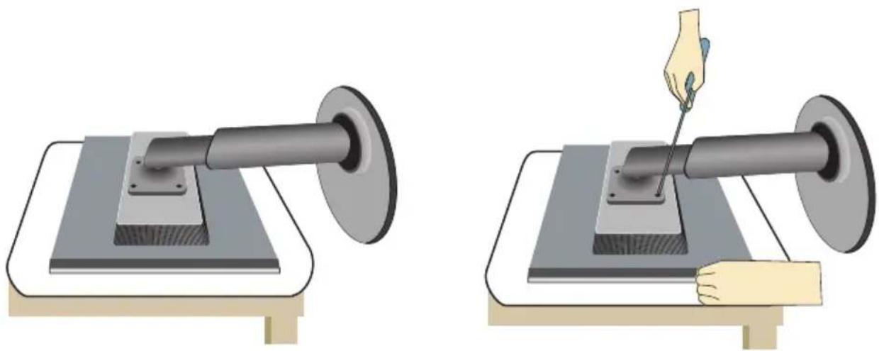 LG W2442PE-BF - Denne skærm overholder specifikationerne for pladen til vægmontering og udvekslingsenheden. - 1