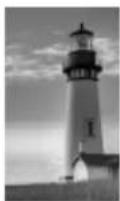 LG W1943TB-PF - • MONOCHROME - 4