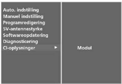 LG 42LY99 - 5V ANTENNA POWER (5 V ANTENNESTR∅M) (KUN I DIGITAL TILSTAND) - 14