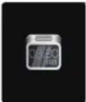 DENVER SW-171 - Stop watch - 1