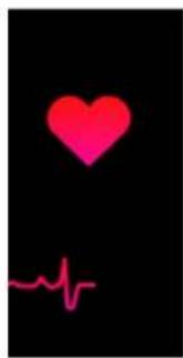 DENVER BFG-550 - Puls - 1