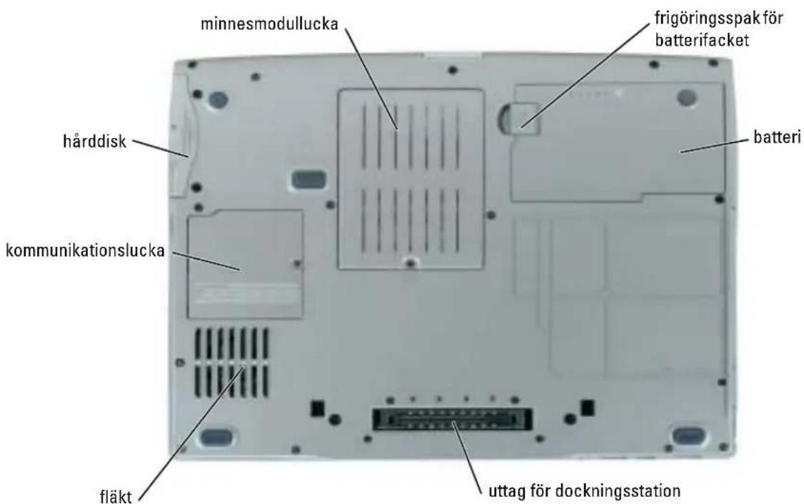 DELL Latitude D510 - Undersida - 1