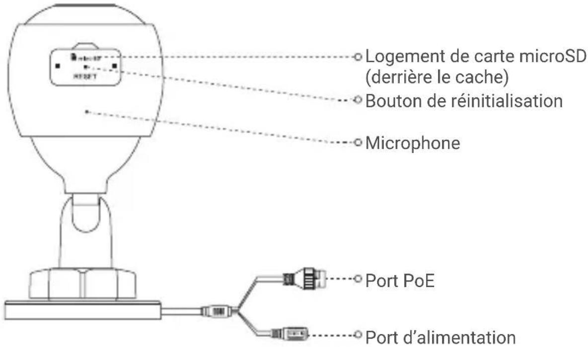 Logement de carte microSD (derrière le cache), bouton de réinitialisation, microphone, port PoE, port d'alimentation.
