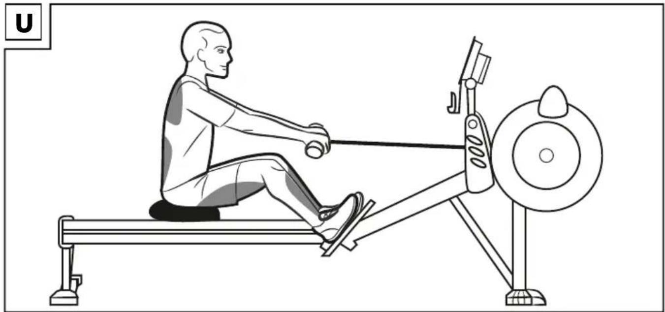 CRIVIT IAN 292988 - ROWING MACHINE - 16