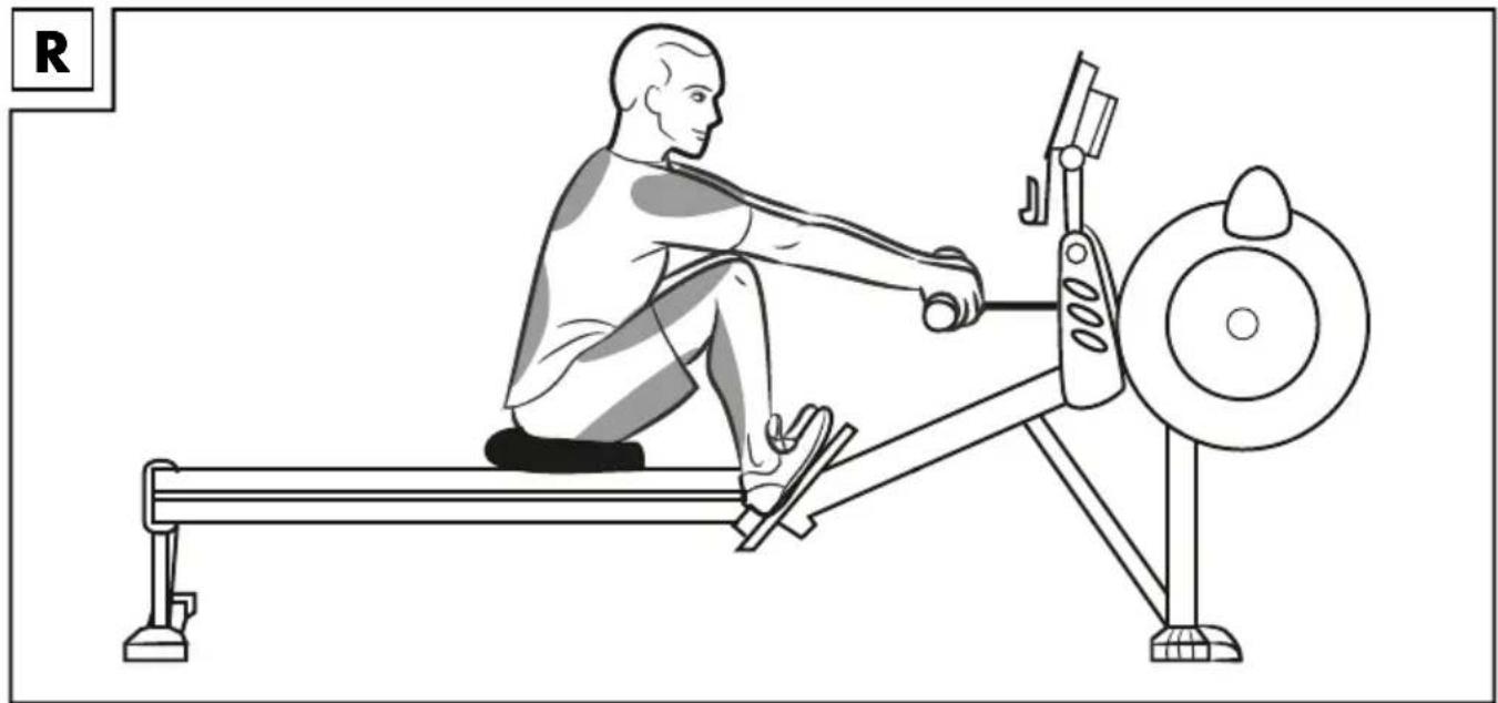 CRIVIT IAN 292988 - ROWING MACHINE - 13