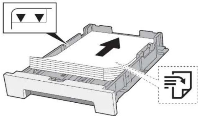 KYOCERA ECOSYS P5021cdn - Læg papir. - 1
