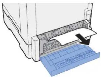 KYOCERA ECOSYS P5021cdn - Fjern eventuelt fastsiddende papir. - 1