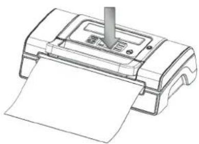 Champion CHVF410 - Vacuum packaging with a bag using Pulse Vacuum - 2